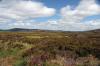 Findhorn July 2021 0254
